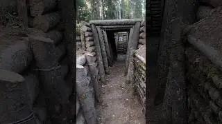Окопы 1944 года. Карельский вал 🌲