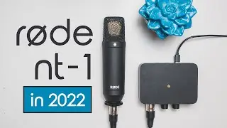 Rode NT1 Review | Best Budget XLR Mic in 2022
