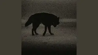 Джохар Дудаев