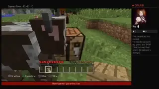 Minecraft with friends