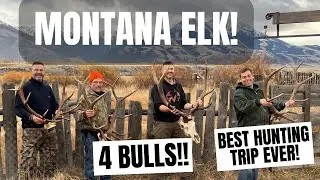 AMAZING Montana Elk Hunt - 4 BULL ELK!!