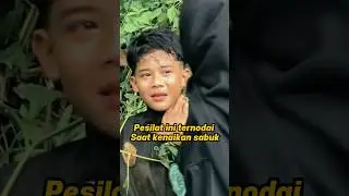 Pesilat cilik ini ternodai saat kenaikan sabuk