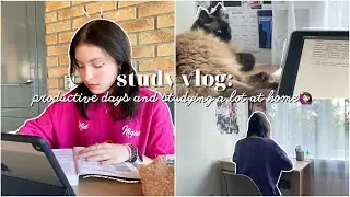 study vlog🙋🏻‍♀️: productive days and studying a lot at home