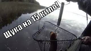 Болото Оршинский мох, на вездеходе Шерп, коп, рыбалка ч3