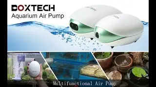 Boxtech 2 Outlets Aquarium Air Pump with Air Stones