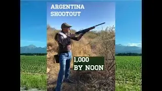 Argentina Dove Hunt