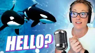 Can Scientists Use AI to Talk to Whales?
