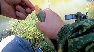 Рыбалка на  Кубани .