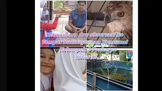 Tugas Prakarya! Wawancara Dan Observasi Ketempat Budidaya Ikan Konsumsi| Kelompok 3| Kelas XI