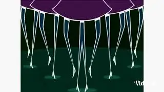 Preview 2 The Debbies Effects in RGB to BGR