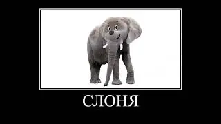 МиМиМишки + ШИЗА =