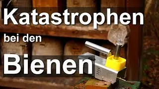 Hilfe! Winter: Katastrophen am Bienenstand - InstantVap besser als Varrox Eddy? - Spechte und Meisen