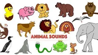 Animal Sounds | Green Bean's Music