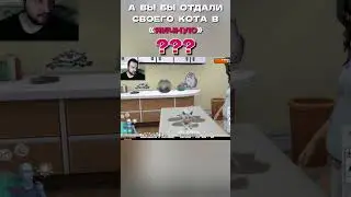 ЖАЛКО КОТА? 