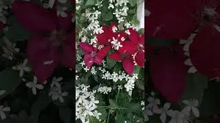 6 июля 2023