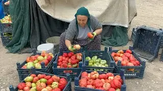Natural life in a cute village of our beautiful Malatya