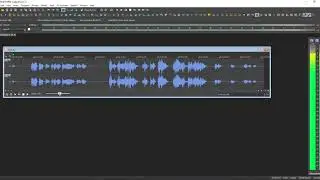 Sound Forge 13 - Vu Meter Record (monitor)