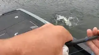 I caught 2 bass at 1 time out of a mega school!