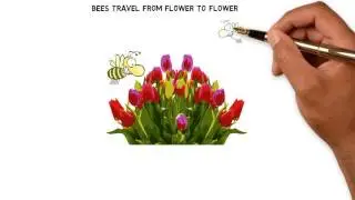 Health Benefits of Honey