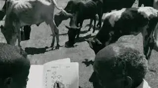 La educación transforma vidas: una historia en fotos (avance)