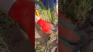 Первое видео на канале! Катин пятак🔥