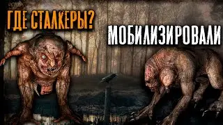 Трансляция: STALKER Clear Sky [Впервые в зоне]. #3.