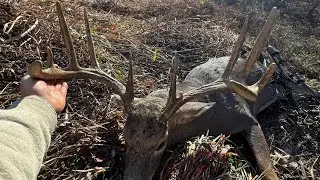 Ohio Public Land Archery Buck 2024