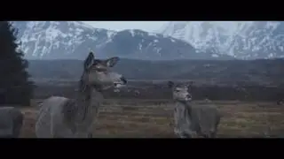 Еле видимый свет.