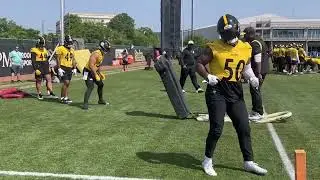 Mike Tomlin Watching His Inside Linebackers At Steelers OTAs