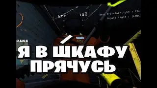 Сыр в летал компани