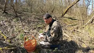 MUSHROOM PICKING. Mushrooms in April 2021. Mushroom season has opened. Preparing mushrooms for a ...