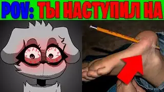 Жуткие лица Беллы (POV: Ты наступил на)