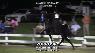 ZORRO JR 2023 BELFAST LIONS CLUB