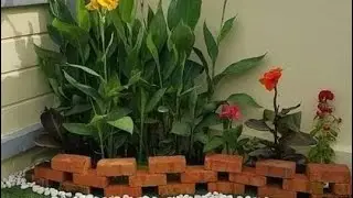 jardines pequeños #nature #ideas #vida #organization