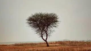Dargeçit
