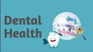 dental health  PowerPoint Preview