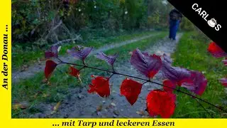 Herbststimmung im Wald mit Tarp und 