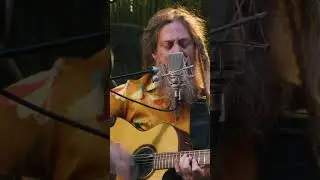New Sugarshack video alert! Mike Love - "Be Thankful" is now live on the @SugarshackMusicChannel