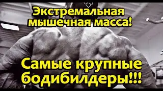 Топ 5 бодибилдеров с запредельной мышечной массой/Top 5 bodybuilders extreme muscle mass!
