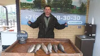Улов стабильный! Рыб клюёт!😉👍