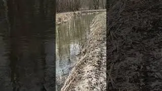 Загрезнение реки Серебрянка в Измайловском  парке