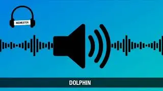 Dolphin meme sound effect