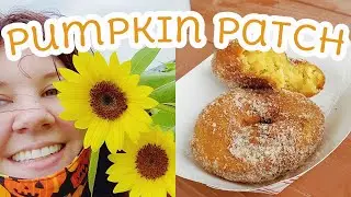 Southern Hill Farms Fall Festival in Clermont, FL (Sunflowers, Pumpkins & Apple Cider Donuts!)