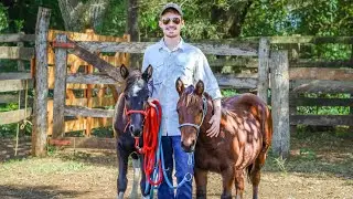 Day 10 Training A WILD Foal! (Last Day Of Training) | Foal Training [EP20]