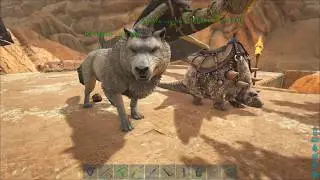 One off - Ark Survivlal Tour