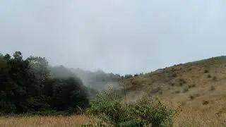 Fog over the viewpoint on Kio Mae Pan Nature Trail (Doi Inthanon)