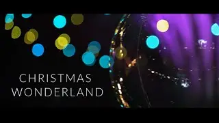 Christmas Wonderland 2019 - Gardens by the Bay, Singapore