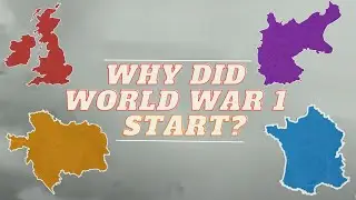 Why Did World War 1 Start? - Dino Historians