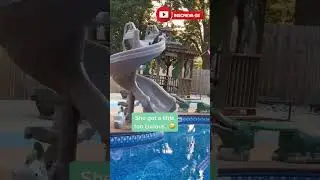 ALGUÉM AJUDA O GATINHO ! #shorts