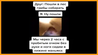 тик ток гуляет в лесу || тик ток мемы